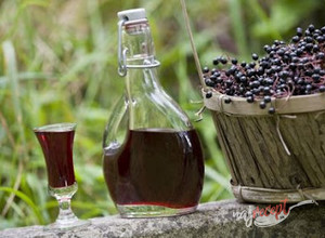 Recept Víno z bazy čiernej