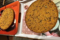 Príprava receptu Mrkvový koláč ZAJÍČEK, krok 12