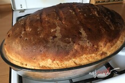 Príprava receptu Zemiakový chlieb aj pre úplných začiatočníkov - starodávne cesto bez práce., krok 8