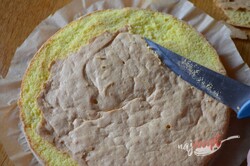 Príprava receptu Jednoduchá tvarohová torta s marhuľami "Slnečný pozdrav", krok 4