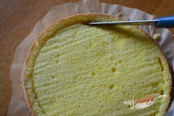 Príprava receptu Jednoduchá tvarohová torta s marhuľami "Slnečný pozdrav", krok 5