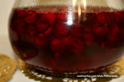 Príprava receptu Domáci brusnicový sviatočný likér, krok 1