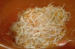 Príprava receptu Solený kapustový šalát s mrkvou, krok 1