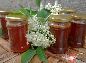 Recept Bazový med s včelím peľom